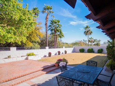 Backyard View From Patio