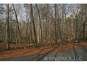 Lot 37 Wolf River Ln unit 37, Lake Lure, NC 28746 - photo 3