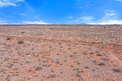 2694 E Columbus Dr, Valle, AZ 86046 - photo 3