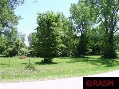 699 Tetonka View Dr, Waterville, MN 56096 - photo 6