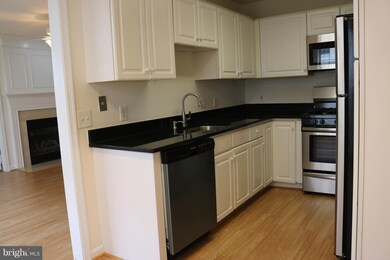 46878 Clarion Terrace unit 101, Sterling, VA 20164 - photo 4