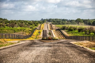 14762 Childress Ranch Dr, Washington, TX 77880 - photo 5