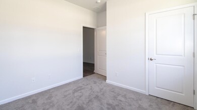 Cali H E_D (3)