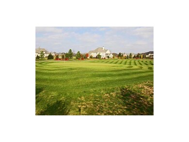 Land/Lot.