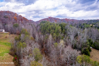 1858 Old Chilhowee Rd, Seymour, TN 37865 - photo 4