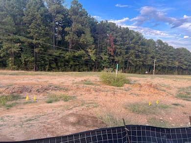 Lot 91 Harmony Village Dr, Haskell, AR 72015 - photo 3