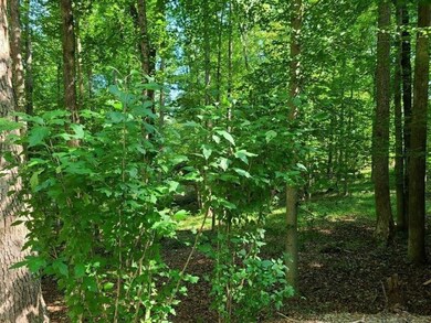 3176 Dixie Bend Rd, Burnside, KY 42519 - photo 4