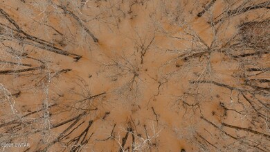 DJI_20250218085804_0024_D