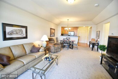 8612 Wintergreen Ct unit 405, Odenton, MD 21113 - photo 5
