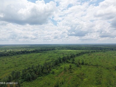 001 Us 82 E, Starkville, MS 39759 - photo 5