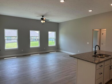 1161 N Maxine Ave, Nixa, MO 65714 - photo 5