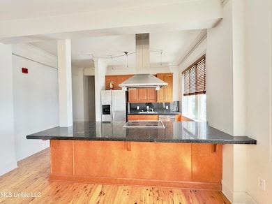 308 E Pearl St unit 904, Jackson, MS 39201 - photo 3