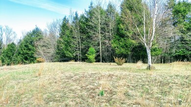 High, Buildable Site