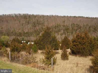 RT 33 East Buffalo Run, Franklin, WV 26807 - photo 5