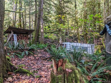 621 Index Ave, Index, WA 98256 - photo 7