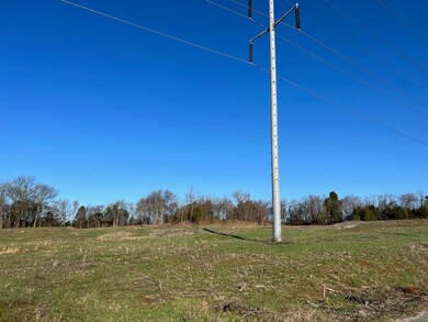 0 Galland Dr unit RTC2494677, Shelbyville, TN 37160 - photo 2