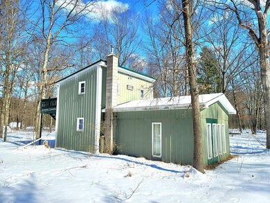 2333 Cass Ln, Bitely, MI 49309 - photo 5