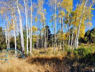 1813 S Greenleaf Rd unit 341, Heber City, UT 84032 - photo 4