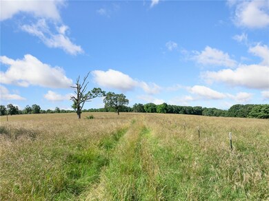 0 Payne Rd N, Harrison, AR 72601 - photo 5