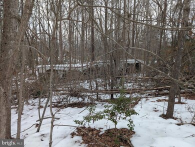 13804 Long Branch Rd, Woodford, VA 22580 - photo 7