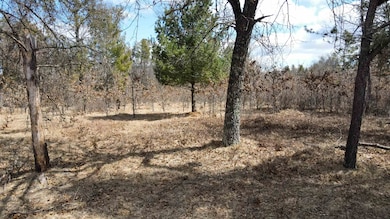 262, 264, 266 15th Ave, Nekoosa, WI 54457 - photo 4