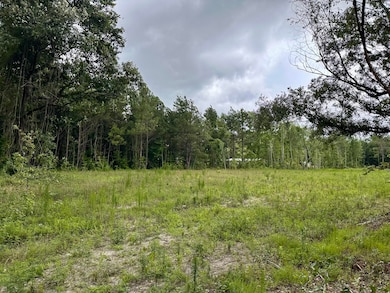 55 Seabrook Center Rd, Seabrook, SC 29940 - photo 5