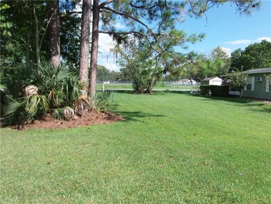 TBD N Rockingham Ave, Tavares, FL 32778 - photo 3