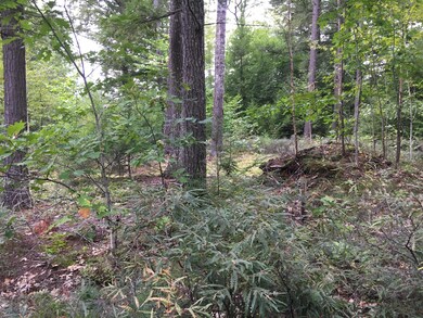 47acres New Dam Rd, Limerick, ME 04048 - photo 6