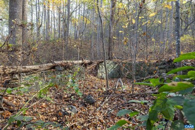 There are two old homesites on this property.
