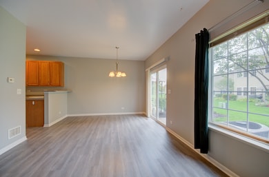 3844 Munson St unit 7312, Plano, IL 60545 - photo 7