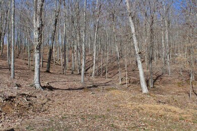 14 Haynes Knob Rd, Somerset, KY 42501 - photo 7