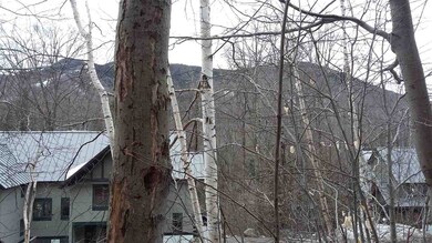 58 Westview Rd, Lincoln, NH 03251 - photo 5