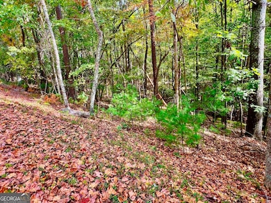 577 Tonto Dr, Ellijay, GA 30540 - photo 3