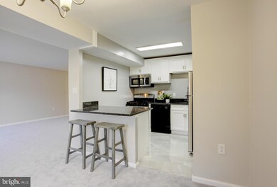 39 Canterbury Square unit 201, Alexandria, VA 22304 - photo 2