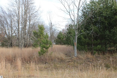 0 Indian Trail unit 1940617, Buckley, MI 49620 - photo 4