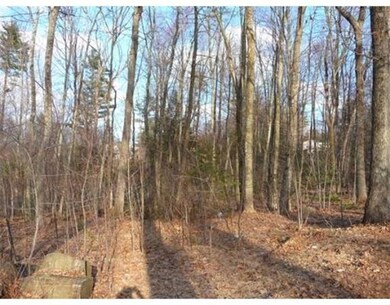 LOT 7 Clark Rd, Sturbridge, MA 01566 - photo 3