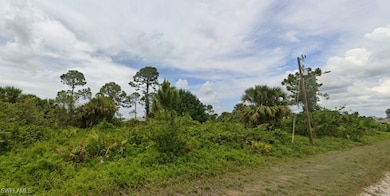 816 Milano Ave S, Lehigh Acres, FL 33974 - photo 2