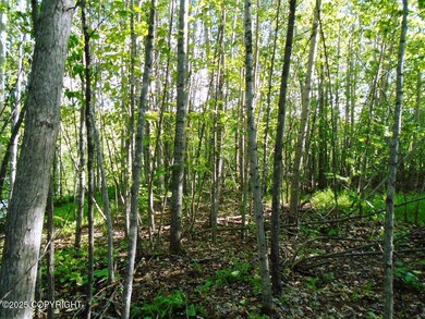 Tr 3 Park Dr, Anchorage, AK 99567 - photo 2