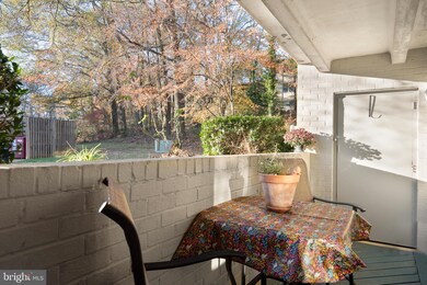 1142 Cove Rd unit 101, Annapolis, MD 21403 - photo 4