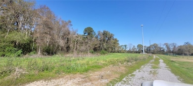 0 Newman Rd unit 7559706, Mobile, AL 36695 - photo 4