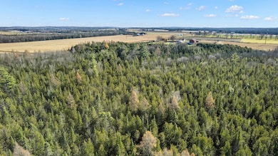 Lot 3 Maple Ln, Grant, WI 54486 - photo 7