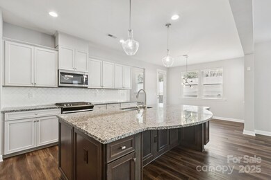 15311 Red Canoe Way, Charlotte, NC 28278 - photo 7