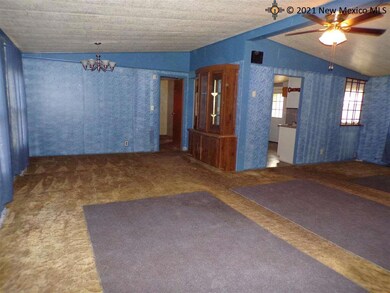 4406 Mescalero St, Carlsbad, NM 88220 - photo 3