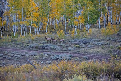 6 GSR H49A7999 Elk Fall