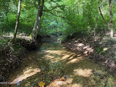 Photo Jul 22 2025, 9 16 13 AM