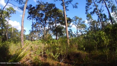 Parcel ID 29-37-23-00-32