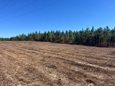 Henry Co Rd 46, Shorterville, AL 36373 - photo 5