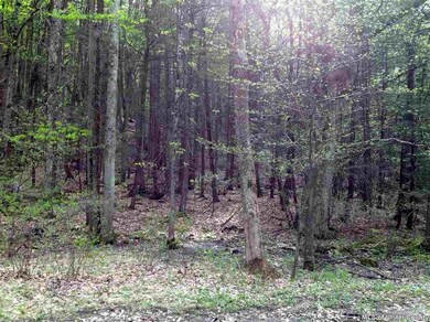 TBD Old Minnewaska Trail, Kerhonkson, NY 12446 - photo 6