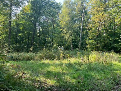 52067 183rd Ave, McGregor, MN 55760 - photo 5