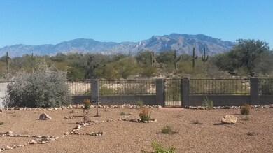 Lessing backyard 2